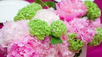 Wallpaper Peonies Hydrangea Composition Pots