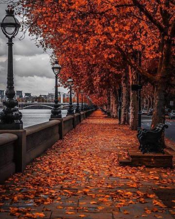 Backgraund London Wallpaper Discover More Capital England