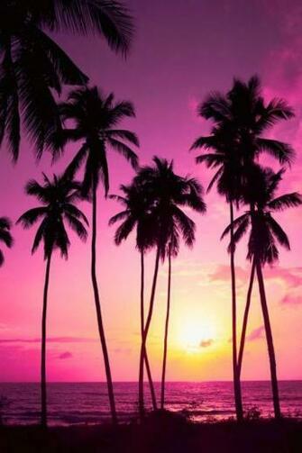 Cellphone Wallpaper Mb 4usky
