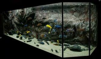 Diy Planted Aquarium Background Google Search With Image