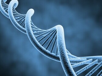 Dna D Structure Molecule Pattern Abstraction Genetic Psychedelic