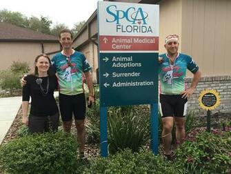 Spca Florida Lakeland Fl P4p