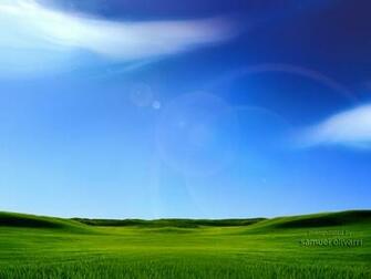 Microsoft Bliss Wallpaper Weddingdressin