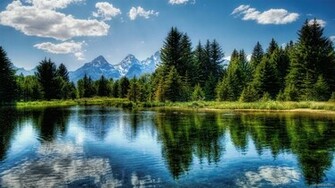 Online Games Wallpaper Natural