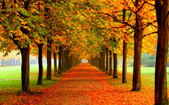 Autumn Wallpaper Examples For Your Desktop