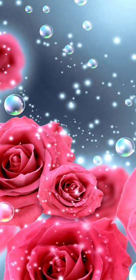 Rose Flower Image Wallpaper For Mobile