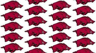 Razorback Wallpaper Background