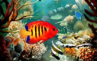 Tropical Fish 3d Wallpaper HD Res