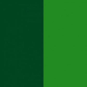 Forest Green Traditional And For Web Two Color Background