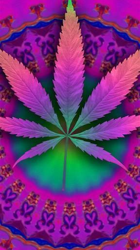 Marijuana Live Wallpaper For Android By