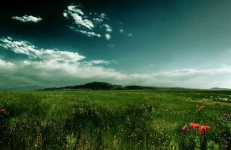 Run In Fields Desktop Pc And Mac Wallpaper