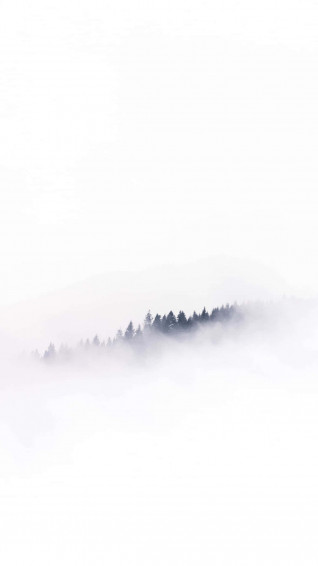 iPhone White Wallpaper