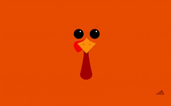 Funny November Wallpaper Top