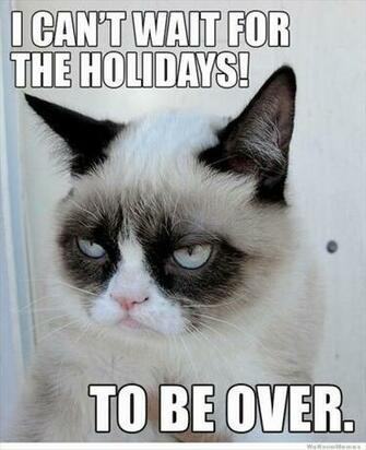 Image For Grumpy Cat Image