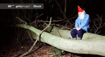 Weird Stock Image That Make Excellent Zoom Background