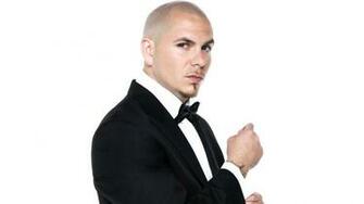 Pitbull Wallpaper55 Best Wallpaper For Pcs Laptops