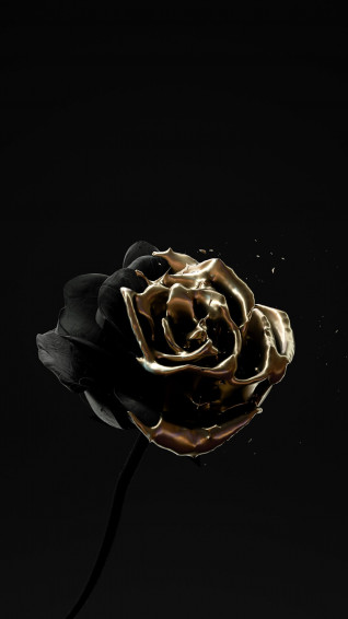 Check Out This Project Wallpaper