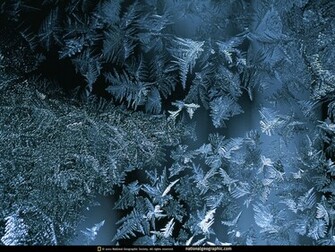 Famous National Geographic HD Wallpaper Part Unique