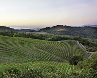California Wine Country HD Walls Find Wallpaper