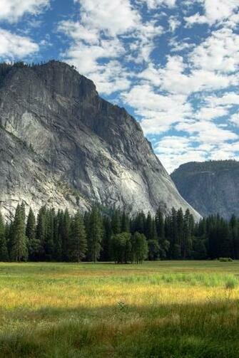 Yosemite Meadows iPhone HD Wallpaper