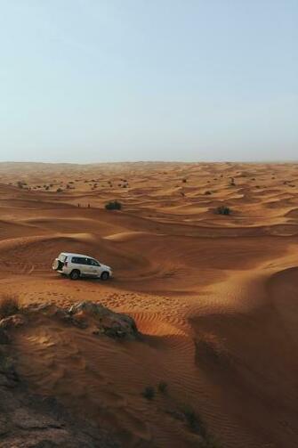 Arabian Desert Dubai United Arab Emirates Pictures