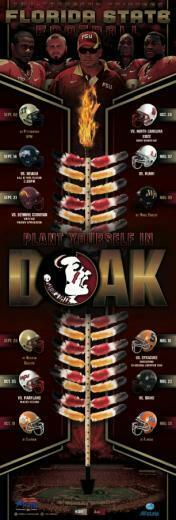 Fsu Football Wallpaper Poster
