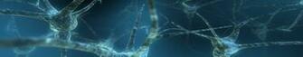 Tri Screen Eyefinity Wallpaper