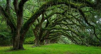 Best South Carolina Wallpaper Asian