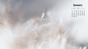 January Wallpaper Best Desktop Phone Background World Of