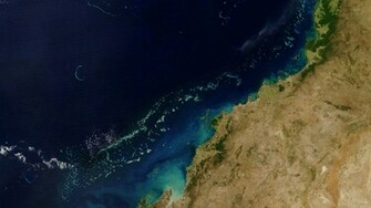 Great Barrier Reef Wallpaper