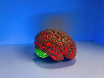 Brain Games Pictures Image