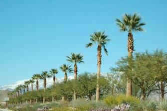 Palm Springs California Wallpaper