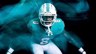 Dolphins Wallpaper Miami