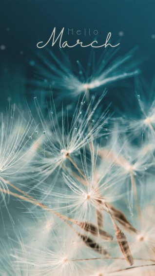Customize Spring Aesthetic Phone Wallpaper Templates