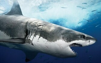 And Again One Nice Collection Of High Resolution Wallpaper Todays