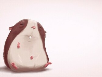 Funny Hamsters Wallpaper For Widescreen Animal