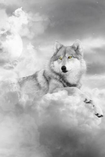 Wolf iPhone Wallpaper