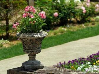 And Harmony Garden Flower Pot Tranquil Japanese Wallpaper