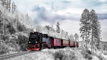 Red Train In A Snowy Forest