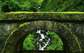 Pacific Northwest Wallpaper