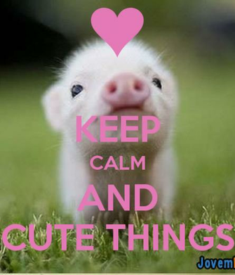Keep Calm And Cute Things Carry On Image Generator