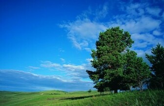 Full Screen Nature Wallpaper Website