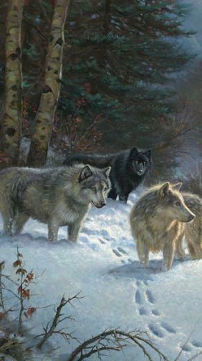 iPhone 6s Plus Wolfs Winter Wallpaper