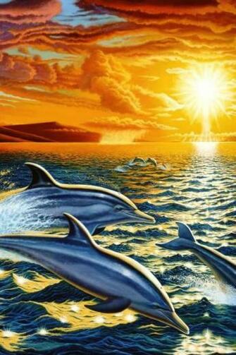Dolphin Wallpaper 3d Android Apps On Google Play