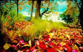 HD Widescreen Wallpaper Right Click The Select Set As