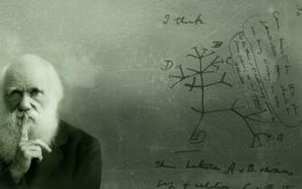 Bearded Man Photo Charles Darwin HD Wallpaper
