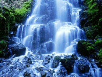Fotos Y Fondos De Naturaleza