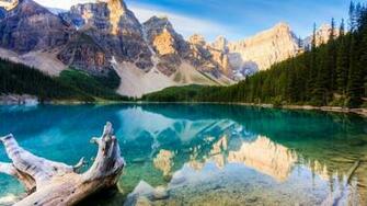 1080p Canada Wallpaper The Home Of Grizzly Bear