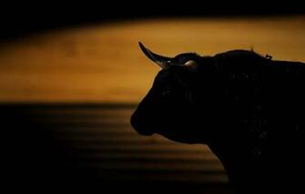 Wallpaper Bull Horns Background Image For Desktop Section