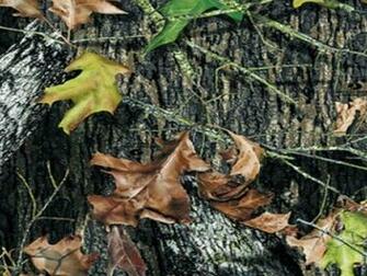 Mossy Oak